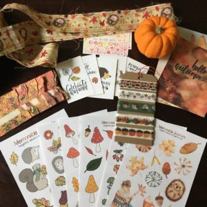 Look at all the things that comes with this journal!